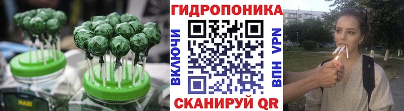 Canna-Cookies марихуана  площадка официальный сайт  Медногорск 