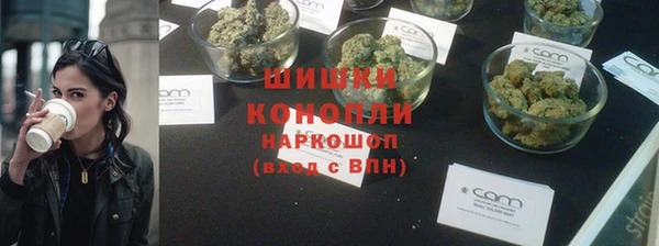 прущие грибы Волоколамск