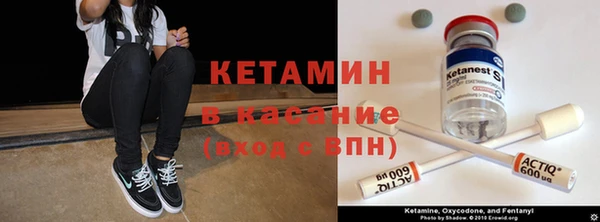 прущие грибы Волоколамск