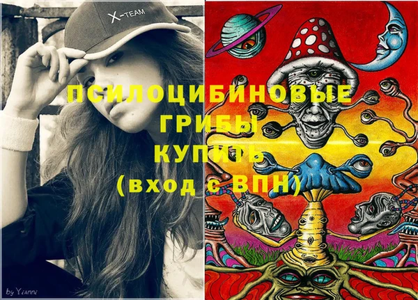 дурь Верхний Тагил