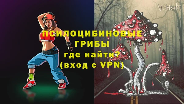 дмт Струнино
