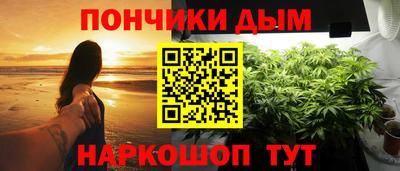 крисы Гай