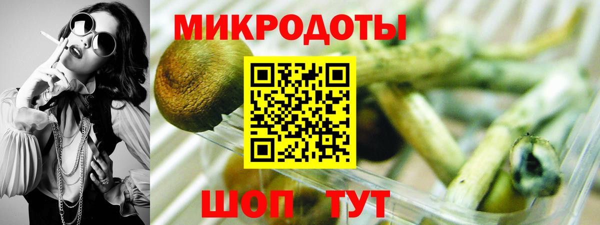 Псилоцибиновые грибы GOLDEN TEACHER  Псилоцибиновые грибы GOLDEN TEACHER  цены наркотик  Вход с VPN  Медногорск 